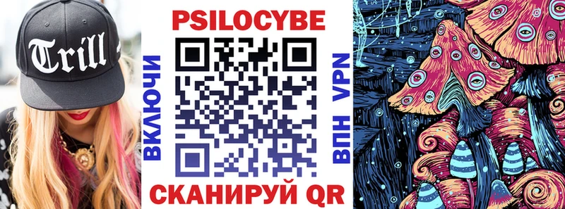 Галлюциногенные грибы Psilocybe  Ахтырский 